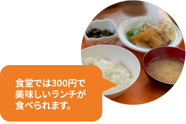 食堂では300円で美味しいランチが食べられます。
